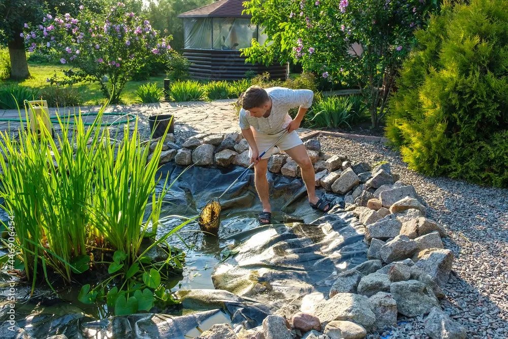 A Homeowner’s Guide To Cleaning A Pond in Augusta, GA