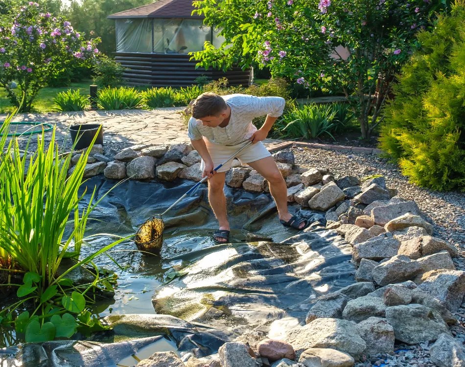 The Cost To Clean Out A Pond Perfectly Amen Corner Ponds