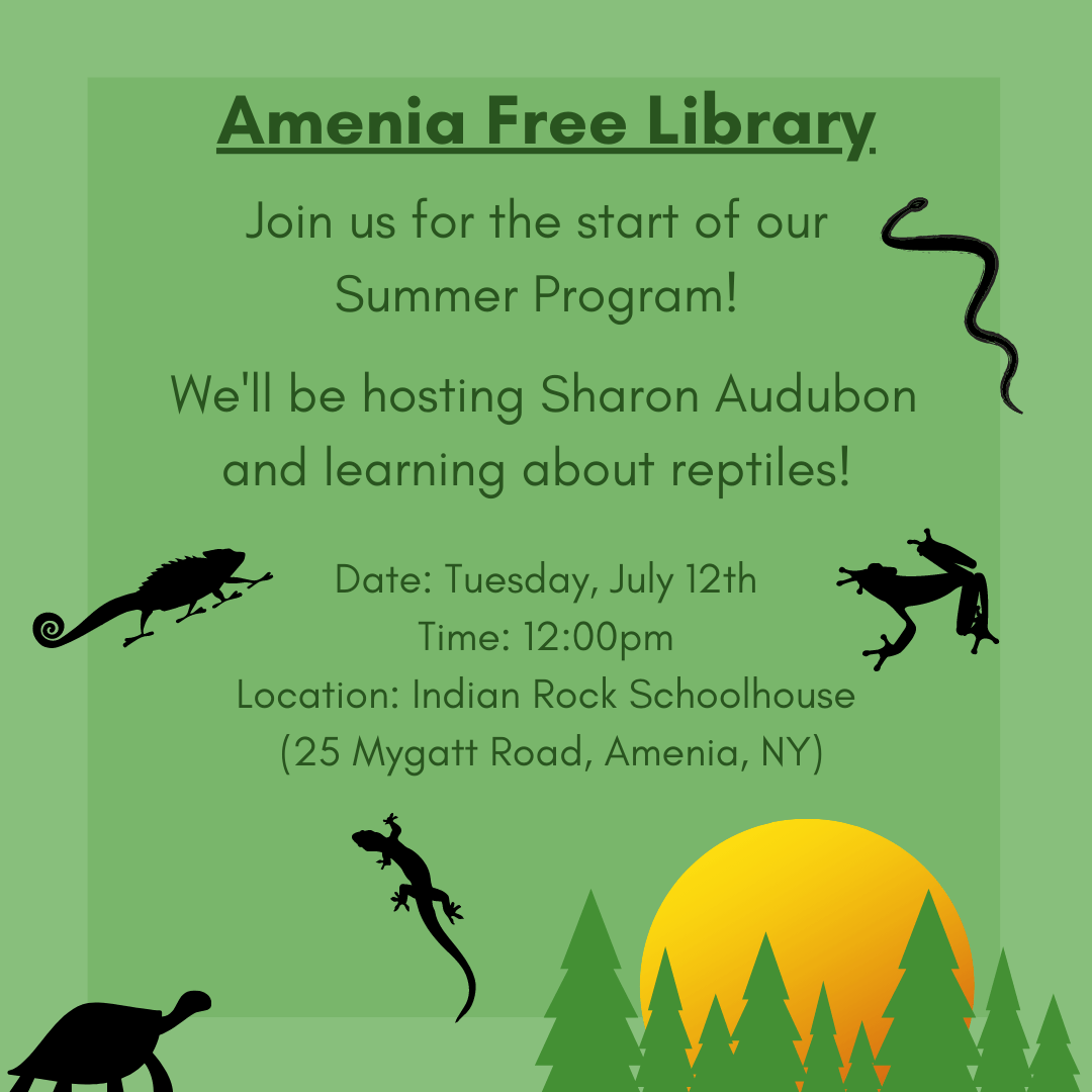 Youth at Amenia Free Library