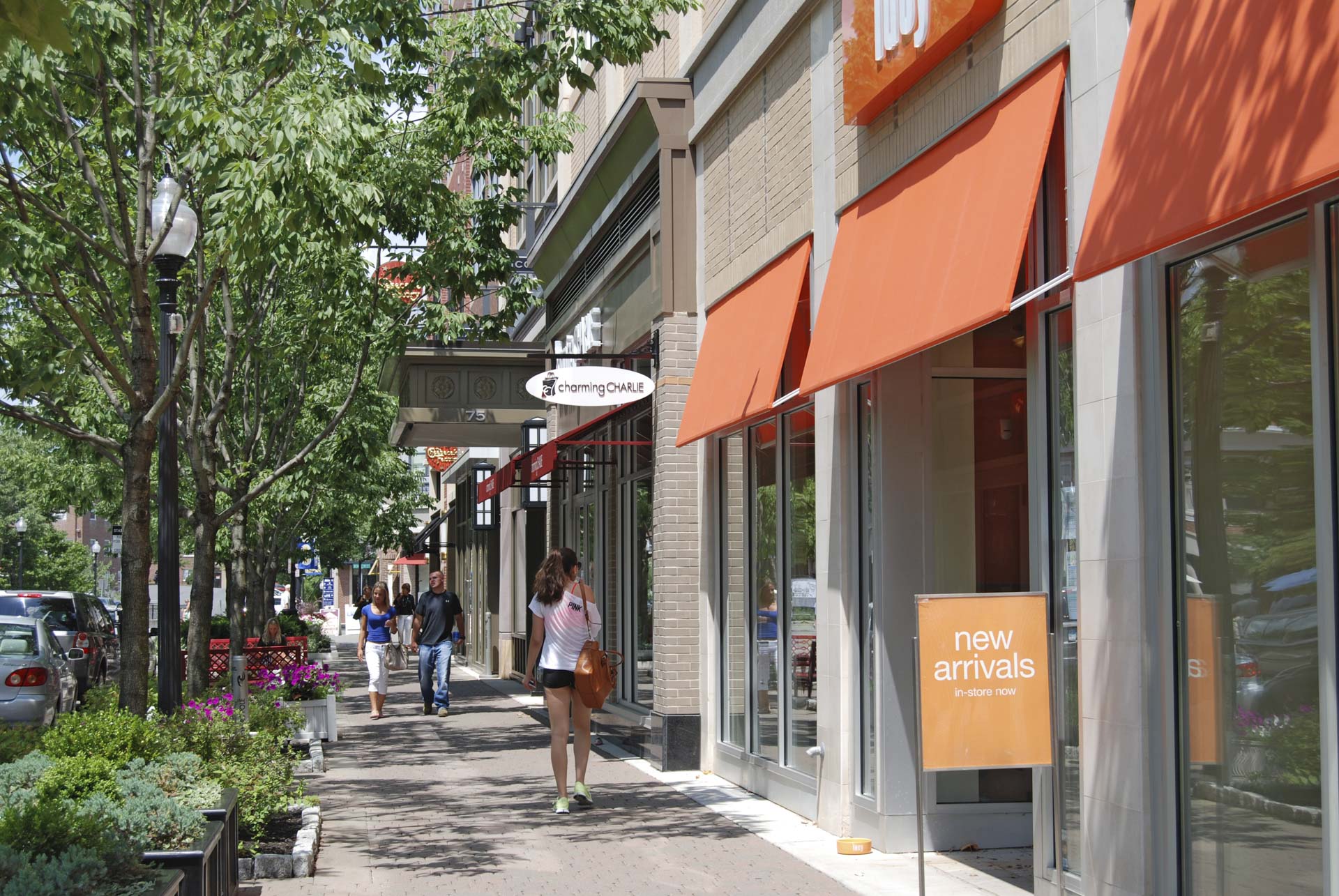 Blue Back Square Amenta Emma