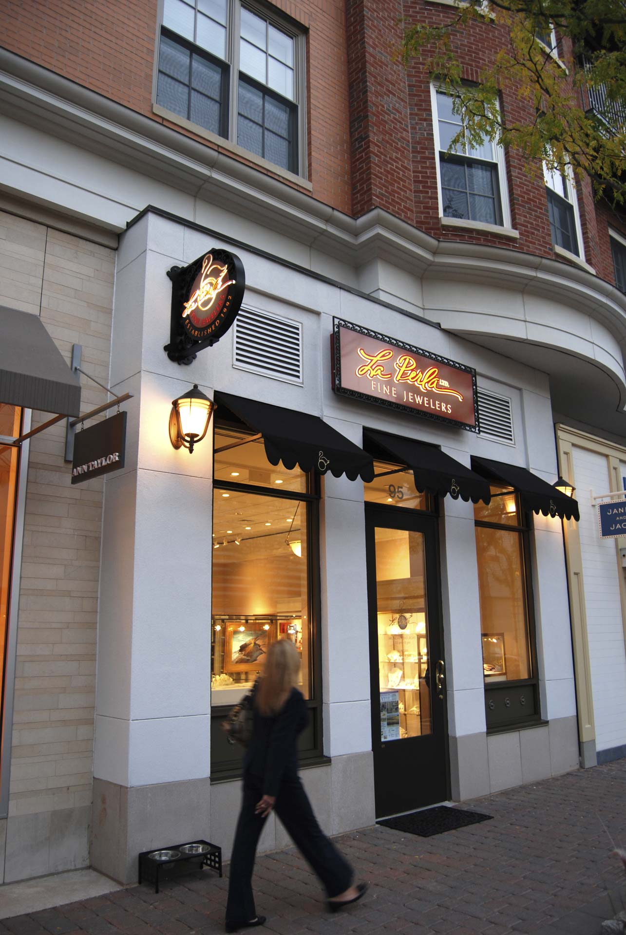 Blue Back Square Amenta Emma