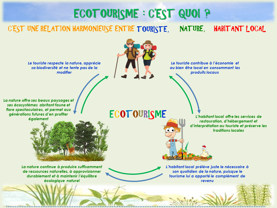 Ecotourisme