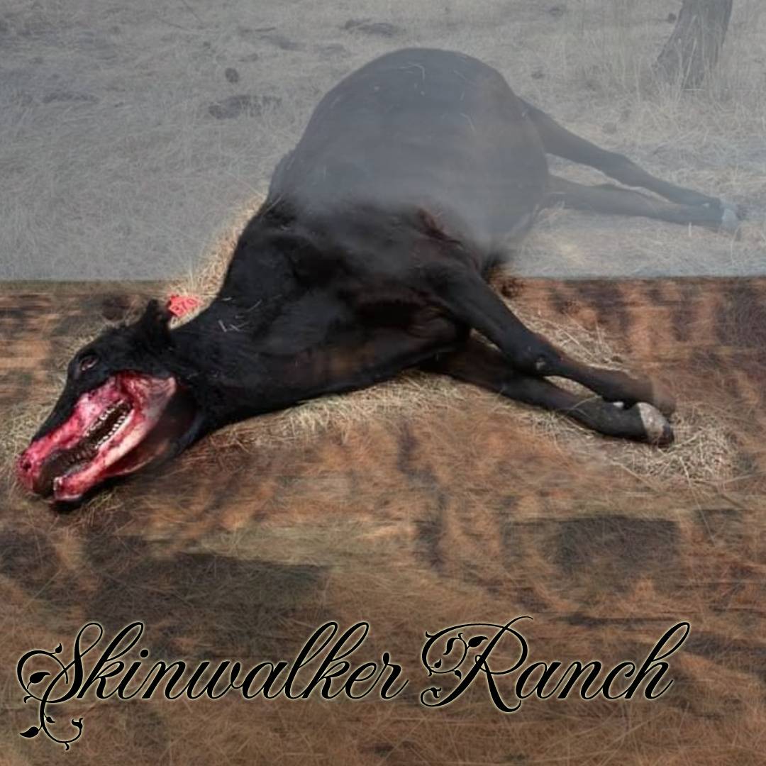 What is happening at Skinwalker Ranch?