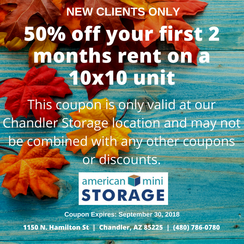 Chandler American Mini Storage
