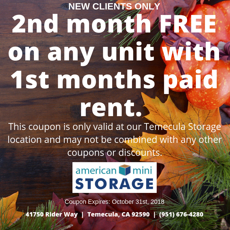 Temecula American Mini Storage