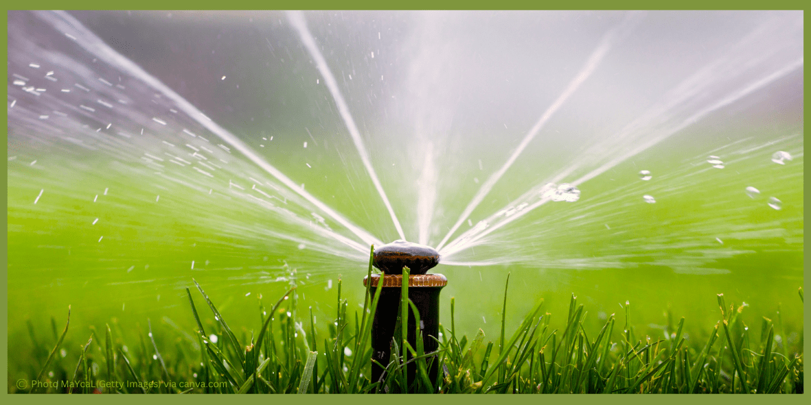 Mandatory watering schedule in Las Vegas Nevada Americana Property