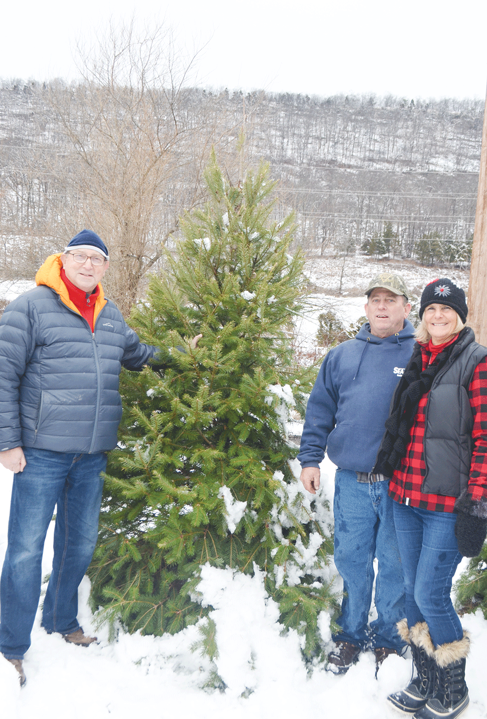 Snowed out once, Fisher opens state’s chooseandcut tree season