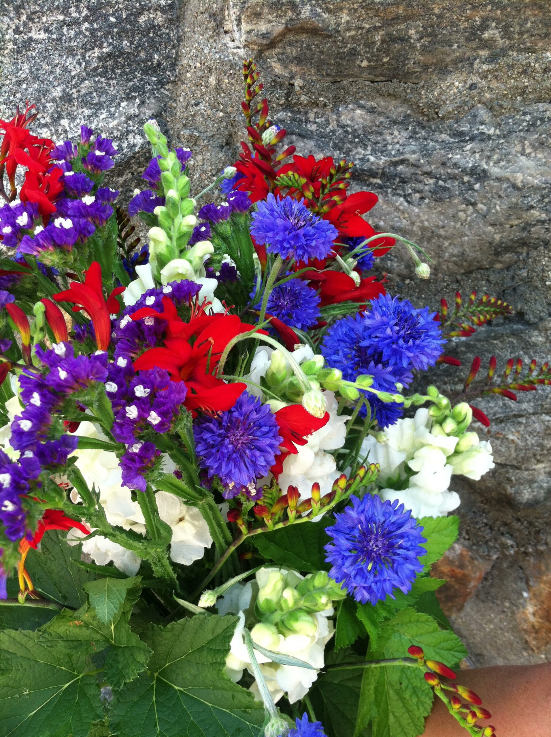 image1 american flowers week