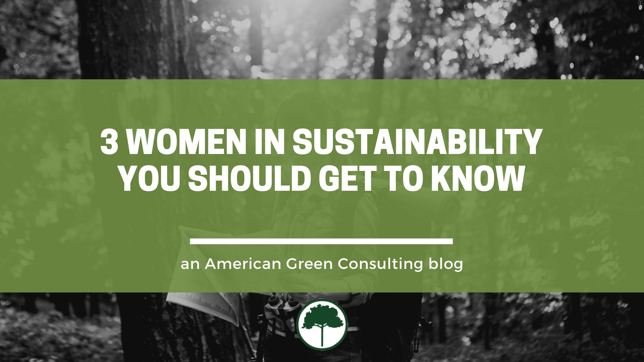 3 Women in Sustainability You Should Know! American Green Consulting