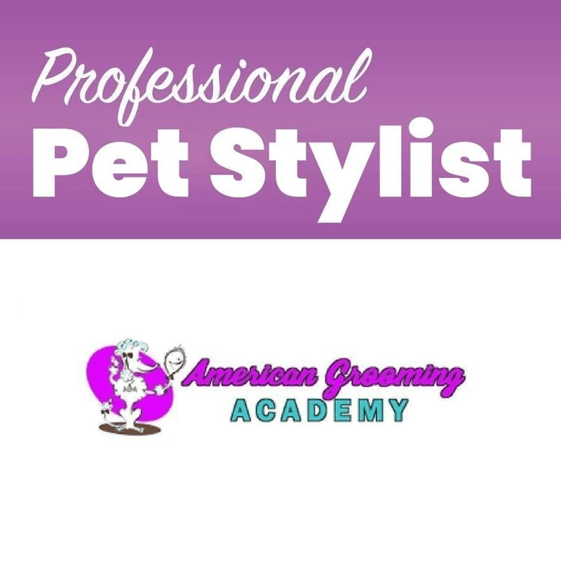 Online Professional Pet Stylist Course Dog Grooming School Pet
