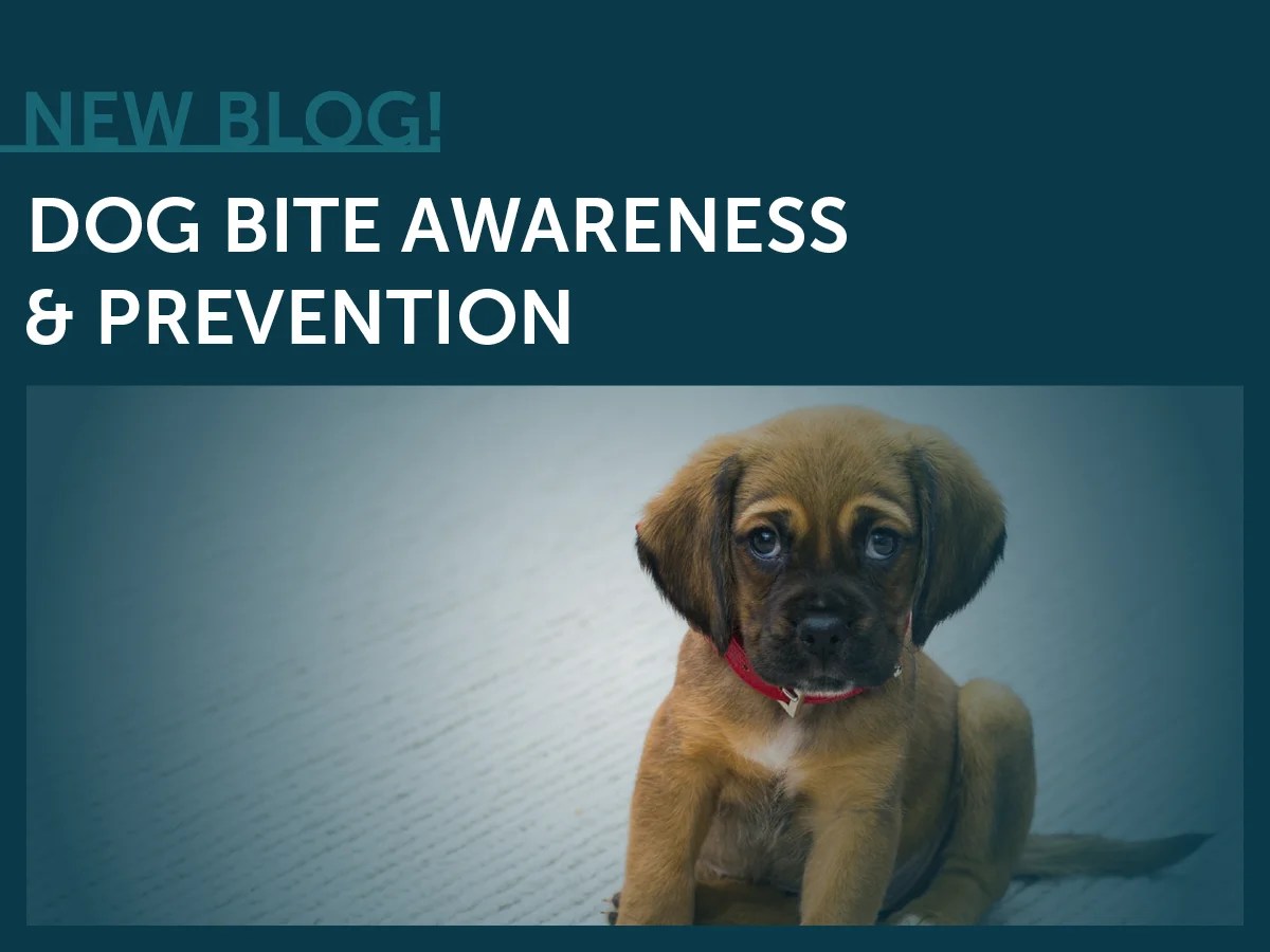 Dog Bite Awareness & Prevention American Heritage