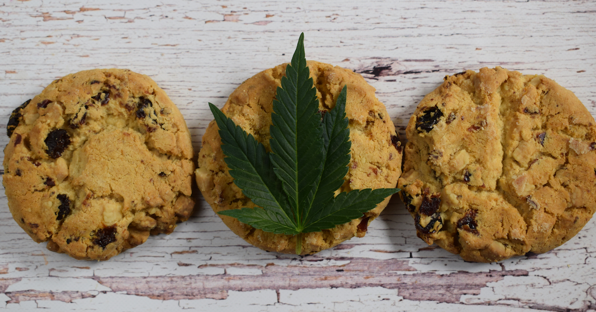 Celebrate Winter with Chocolate Chip Cannabis Cookies American Mary