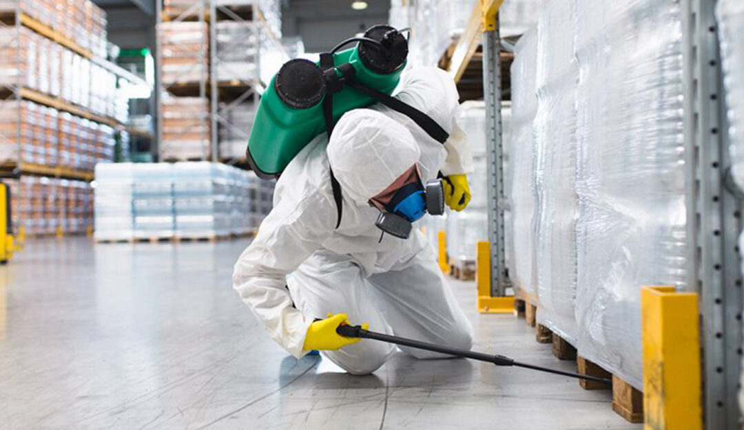 Pest Control Companies American Pest Control