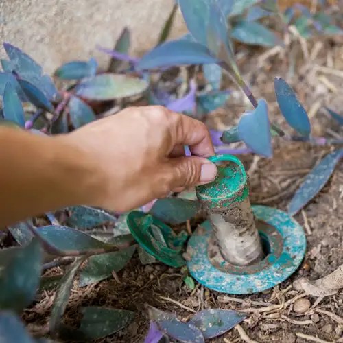 Pest Control Exterminators Kansas City KS