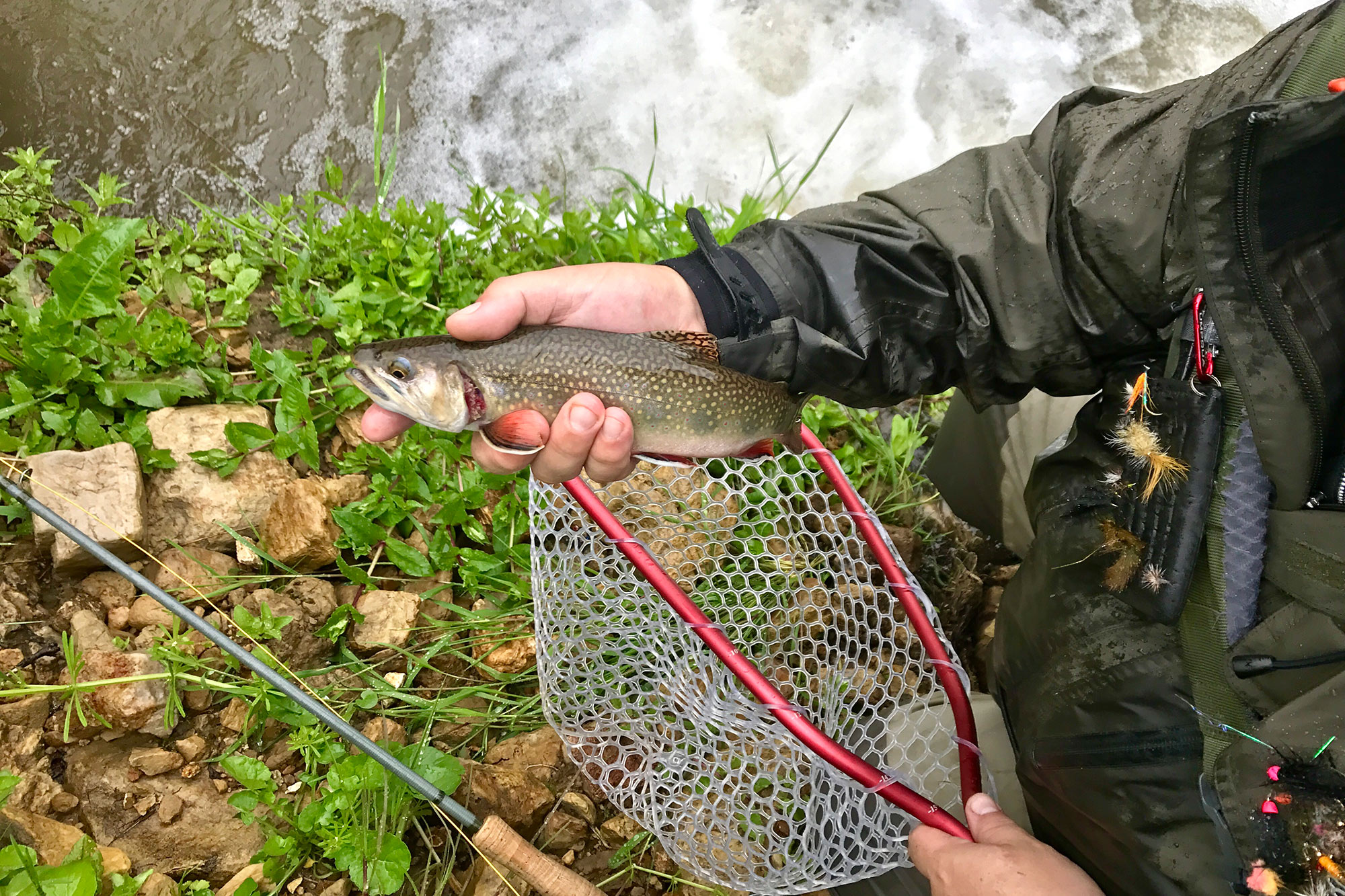 Fly Fishing the Driftless Area around Viroqua, Wisconsin American