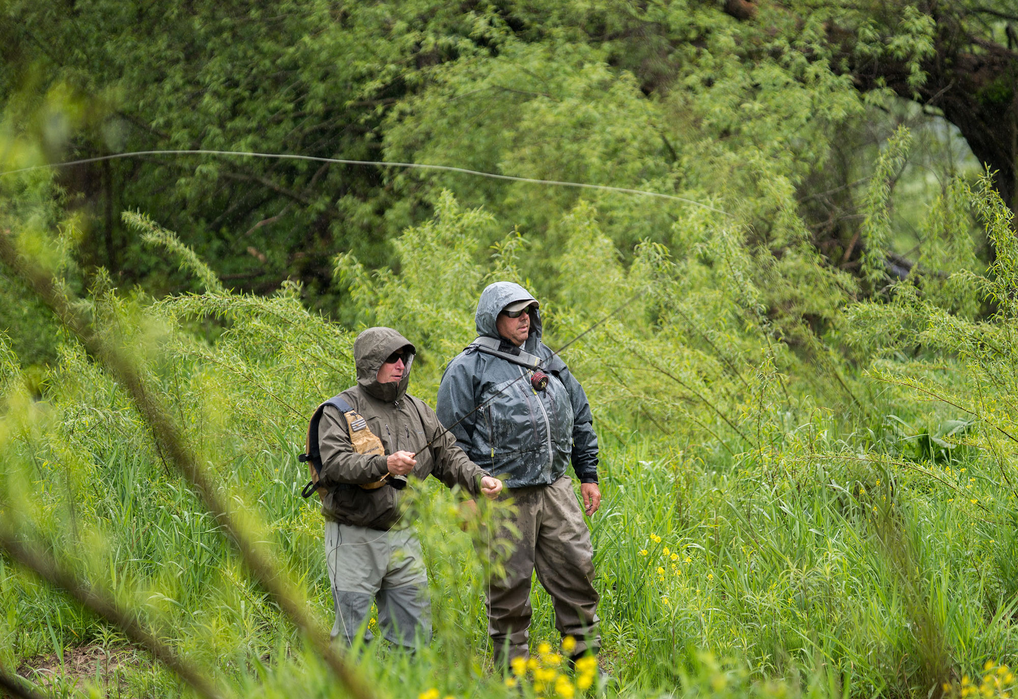 Fly Fishing the Driftless Area around Viroqua, Wisconsin American