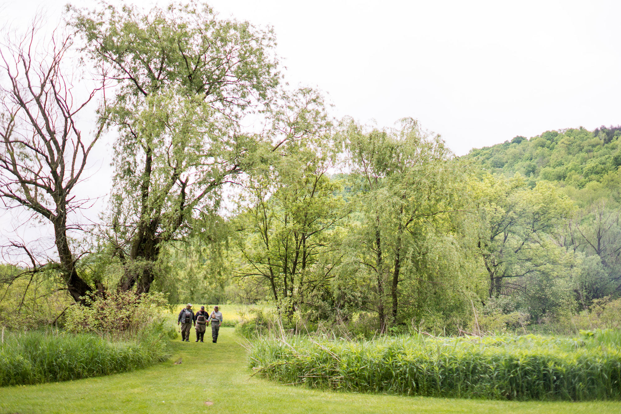Fly Fishing the Driftless Area around Viroqua, Wisconsin American