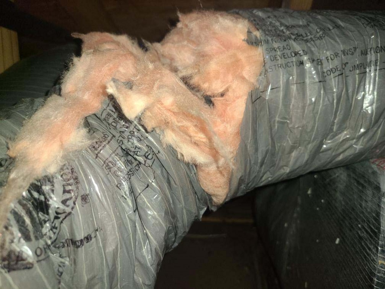 Rodent Control American Insulation & Rodent Solutions Inc.