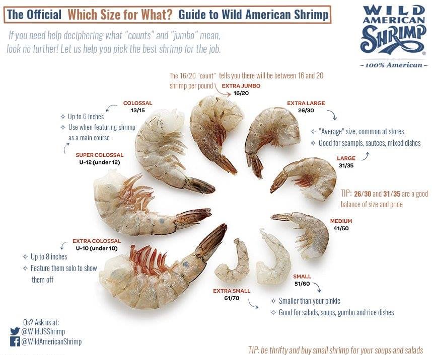 Everything You Need to Know About Shrimp Counts and Sizes - Wild