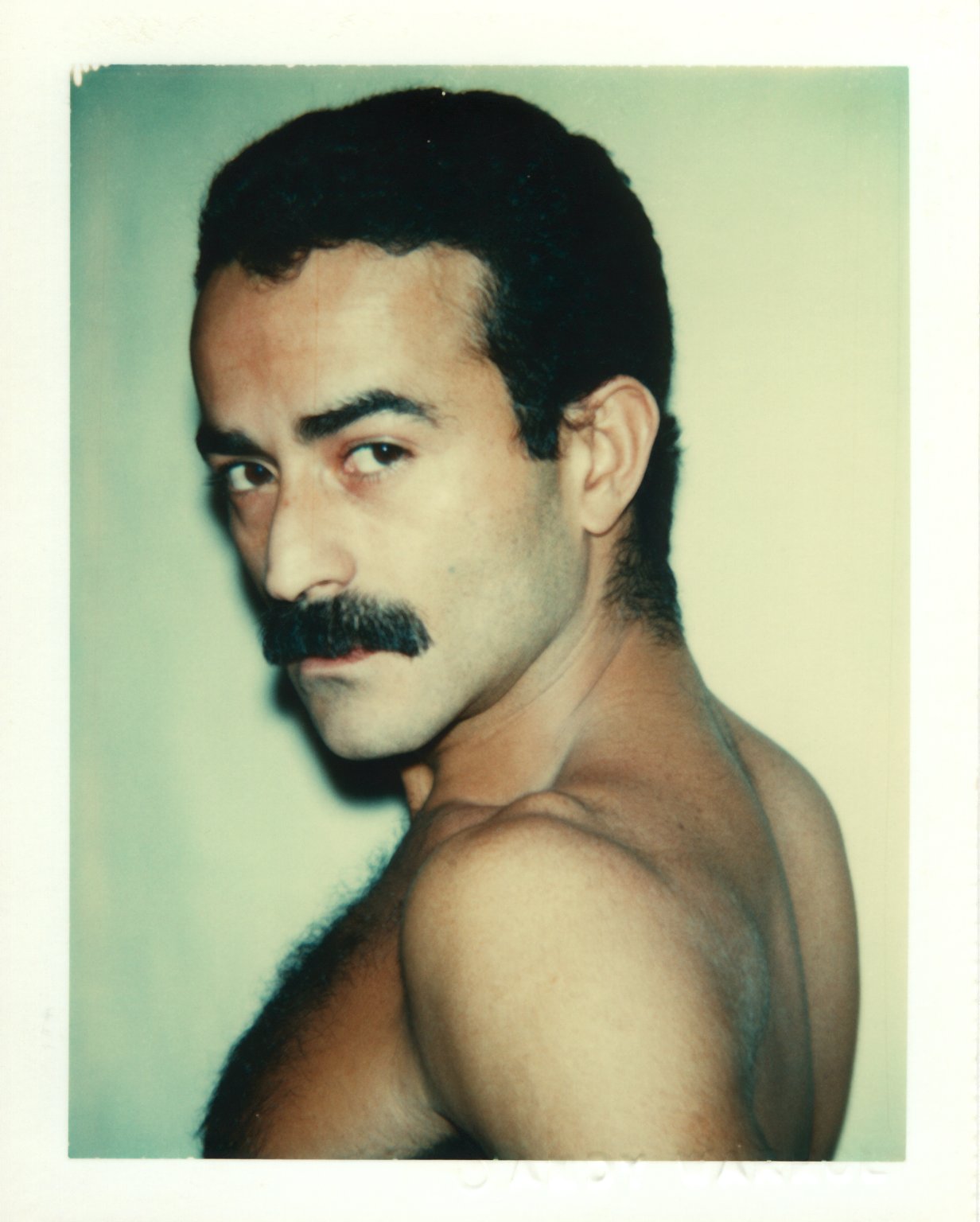 Andy Warhol “Polaroids” AMERICAN SUBURB X