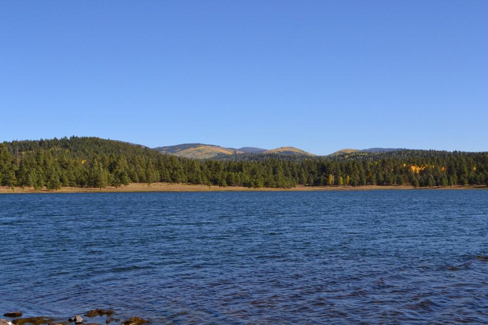 17 Best Things to do in Arizona Worth a Visit!