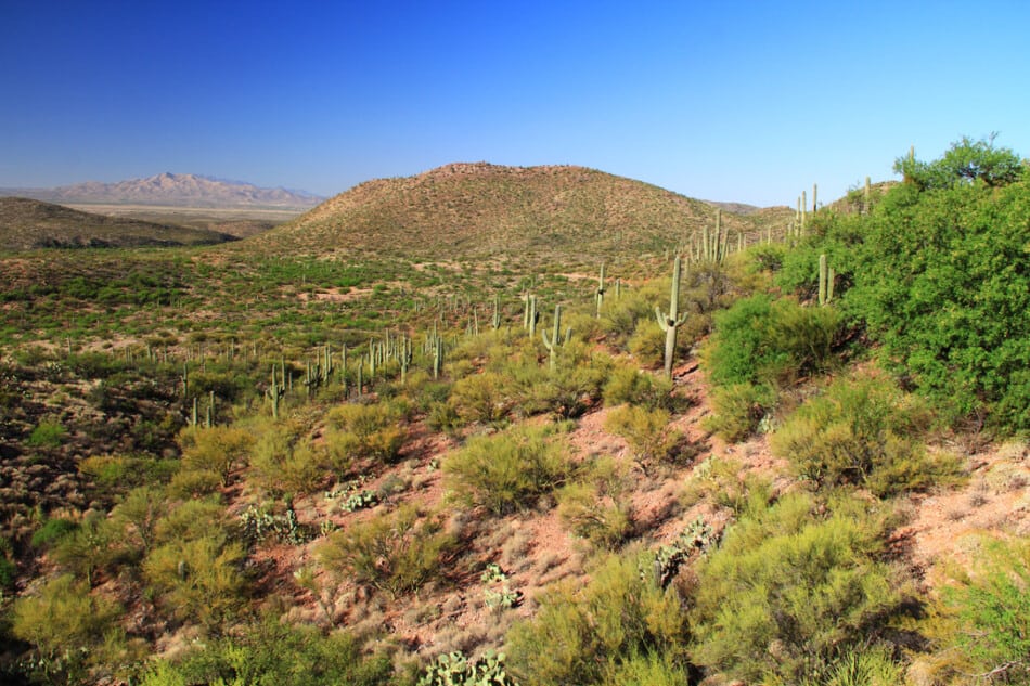 15 Best Things to do in Tucson, Arizona Insider Guide