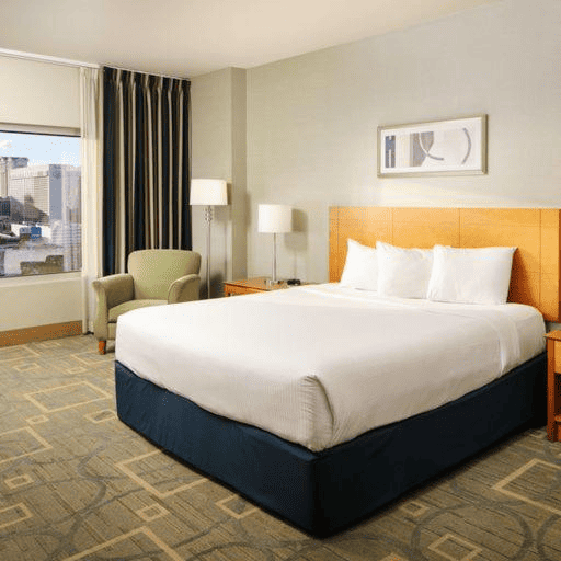 17 Dog Friendly Hotels in Las Vegas pet friendly hotels in Las Vegas