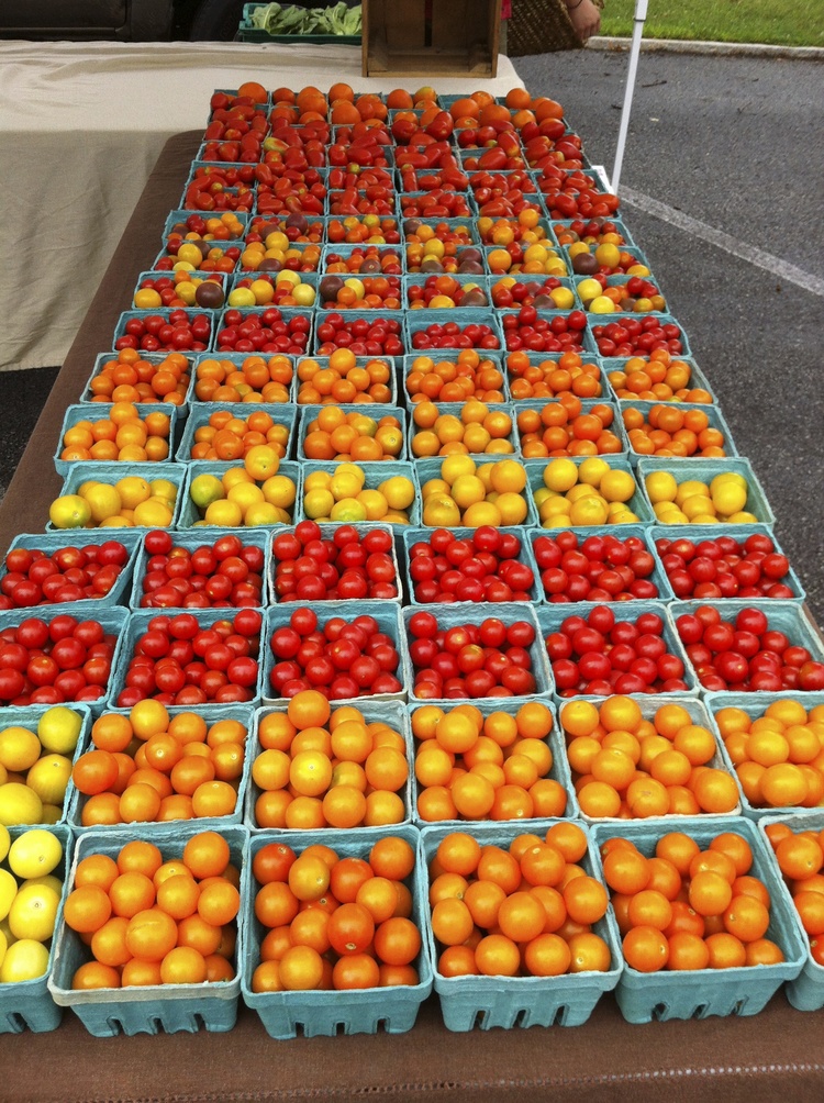 Two Gander Farm Tomatoes « American Toolbox