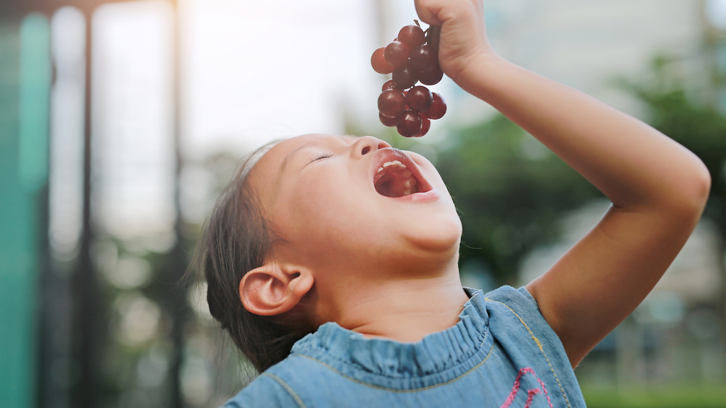 Vitamin K and Flavonoids Found in Fresh Grapes are Essential American