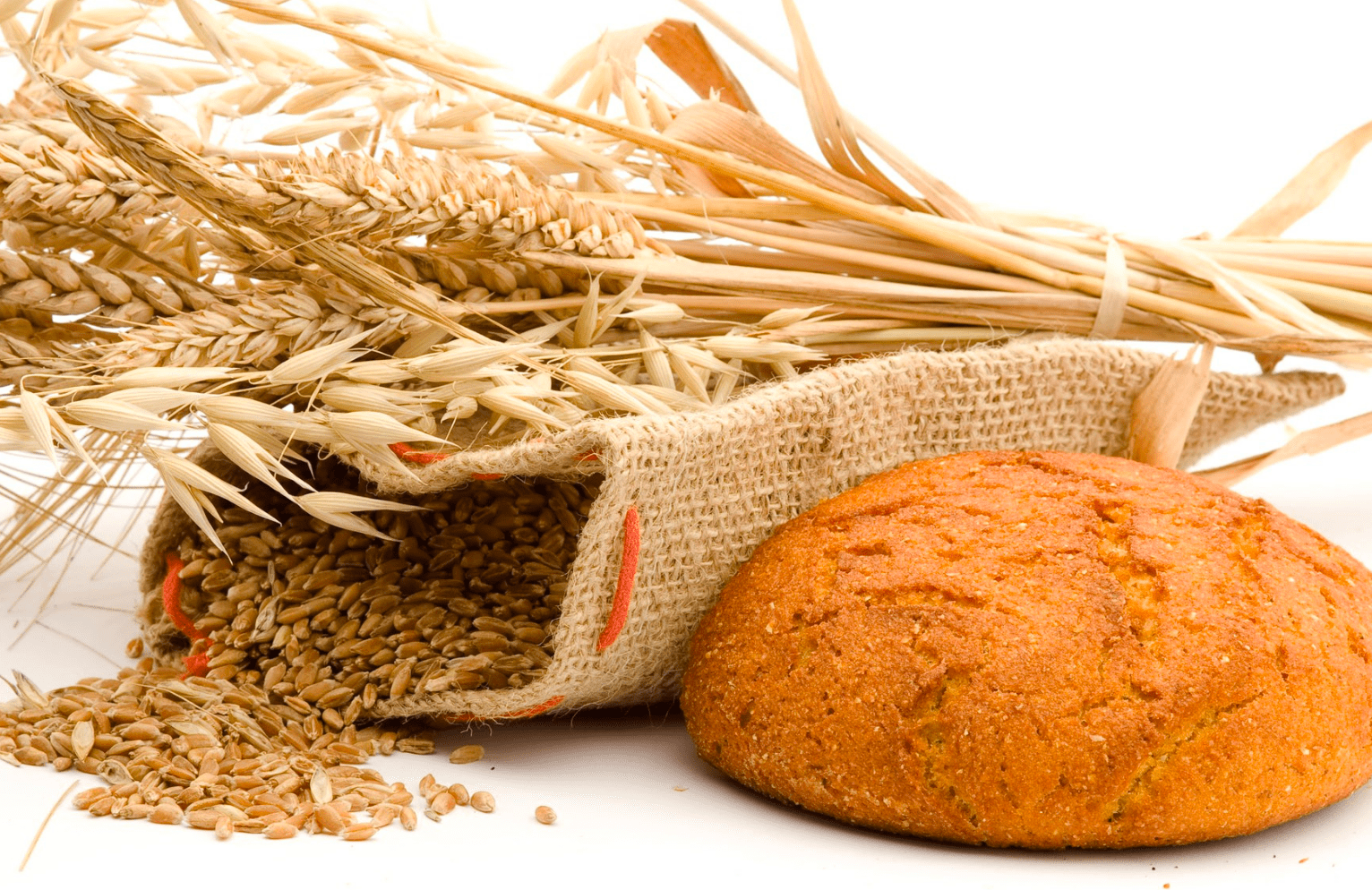 Gluten Allergies Signs, Symptoms, and Management America's Best Care