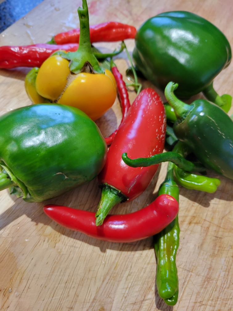 The Story Behind Magic Salt America's Home Chef