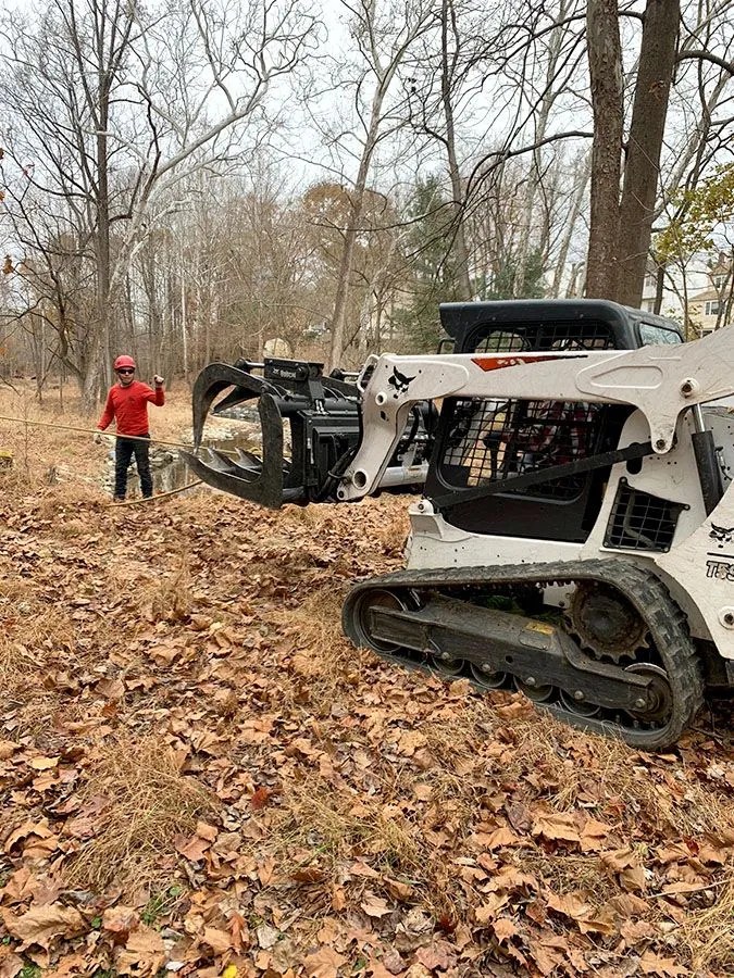 Storm Damage Cleanup AmeriTree Baltimore, MD
