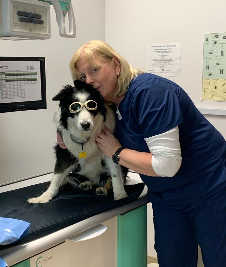 Veterinarians in Ames Ames IA Veterinarians