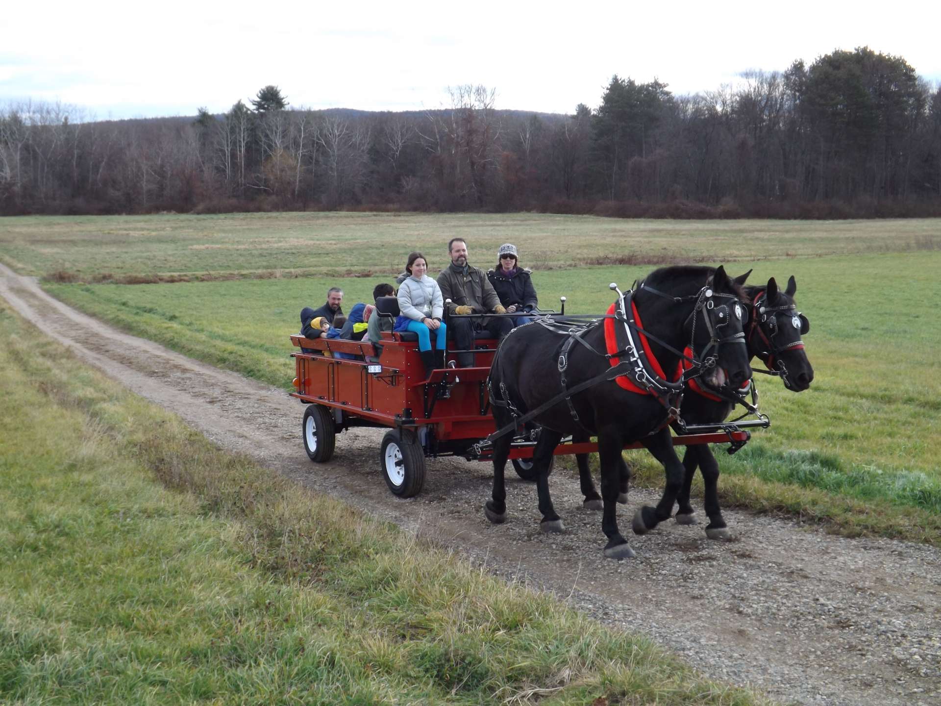 HorseDrawn Wagon & Sleigh Rides Amethyst Farm