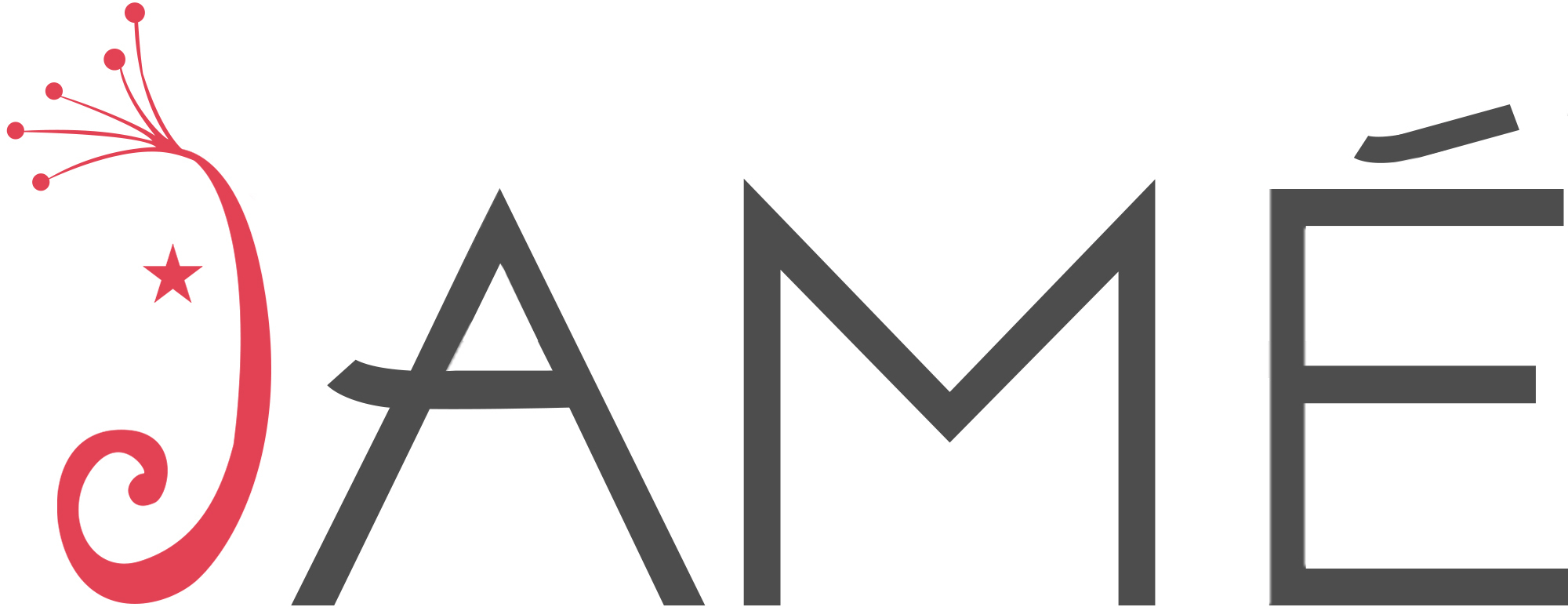 Home Ameya Holdings LLC dba Amé