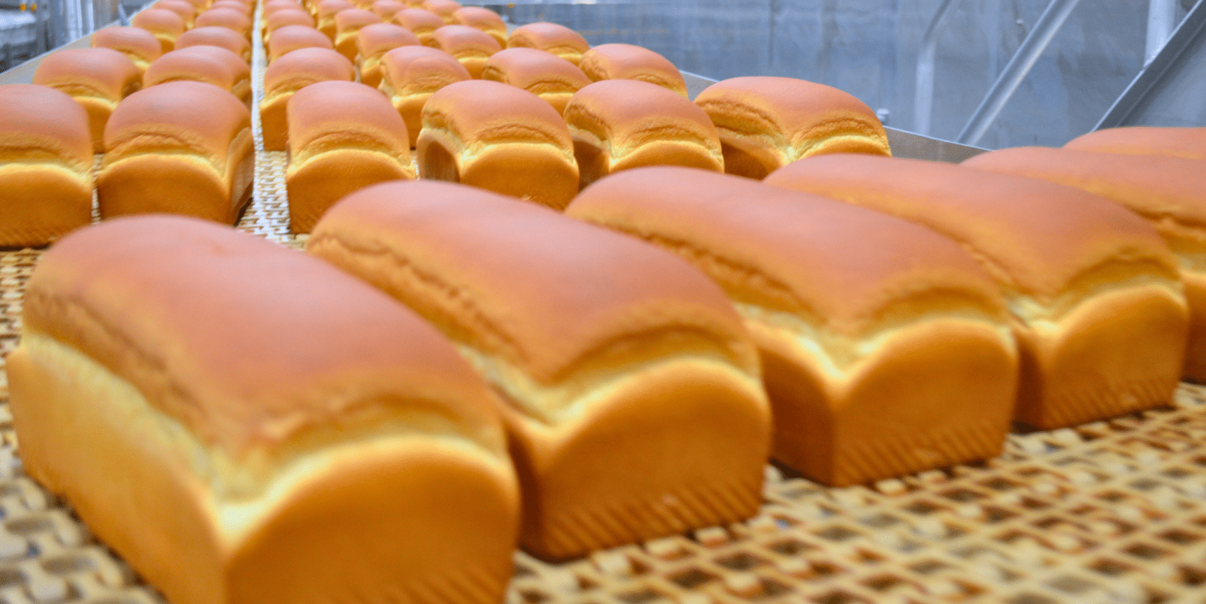 Your Partner for commercial bakery equipment AMF Bakery