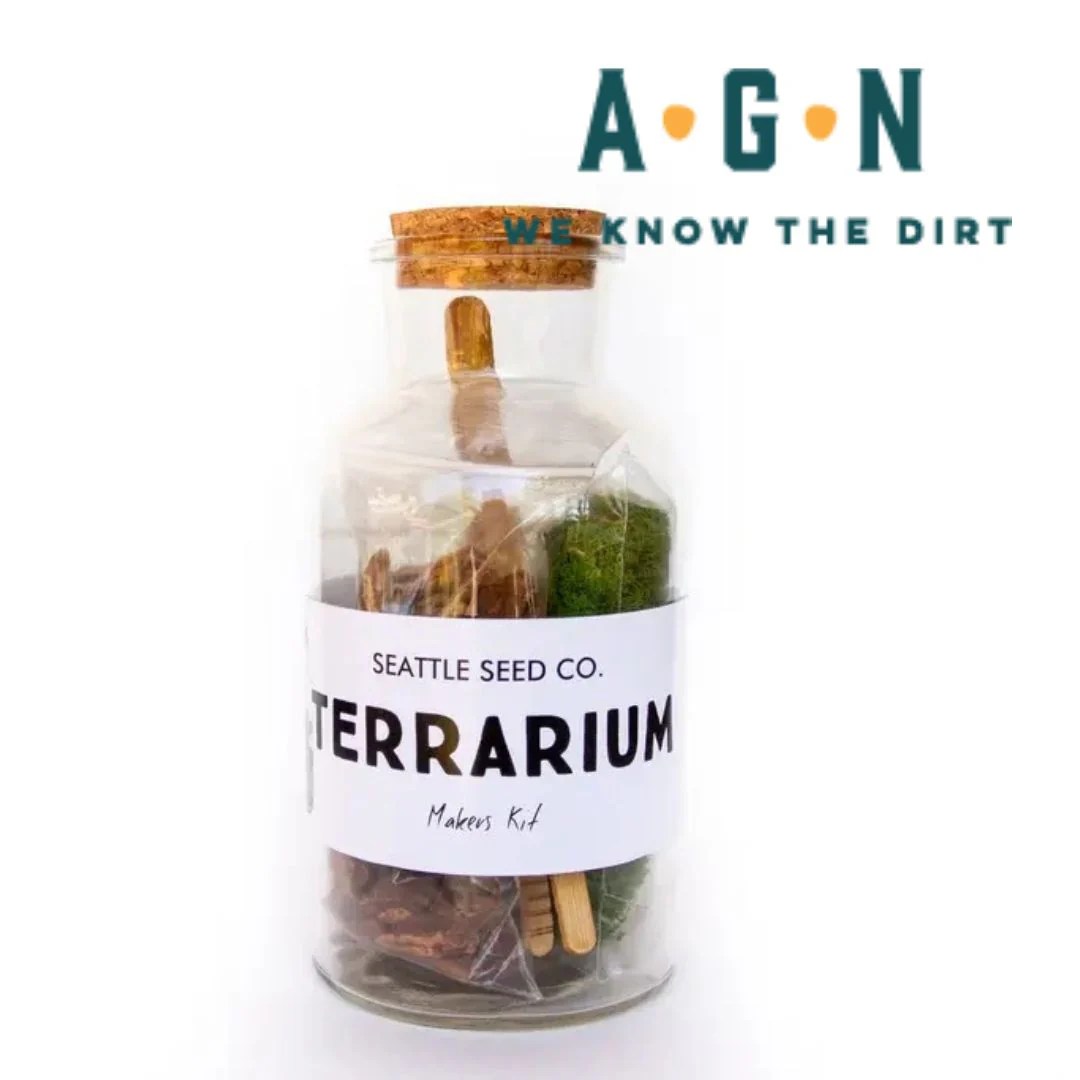 DIY Terrarium Kit America's Gardens Nursery