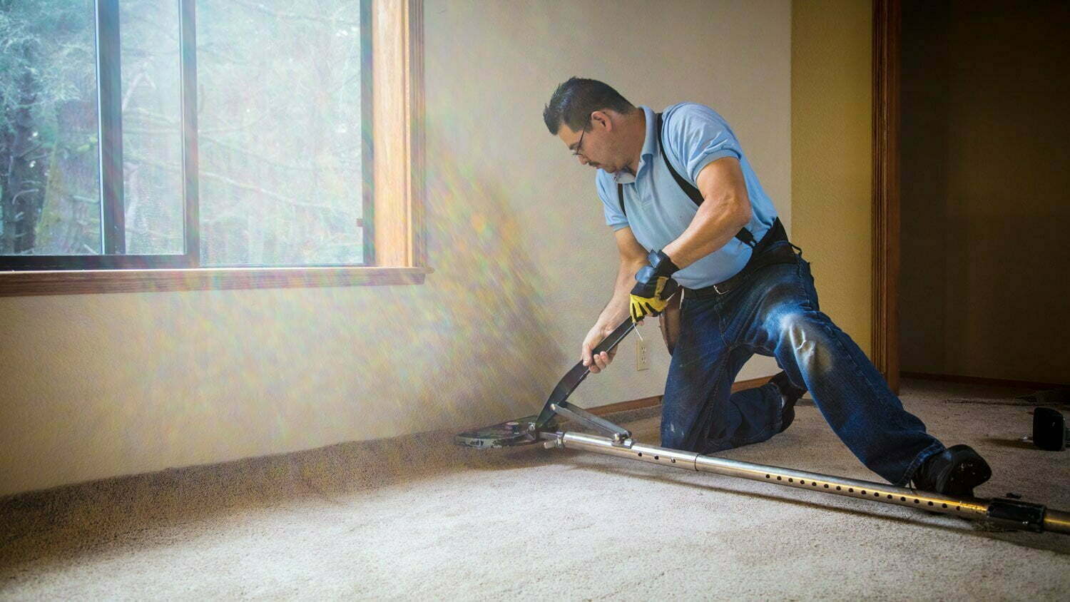 How to Get Wrinkles Out of Your Carpet A&M Group Incorporated