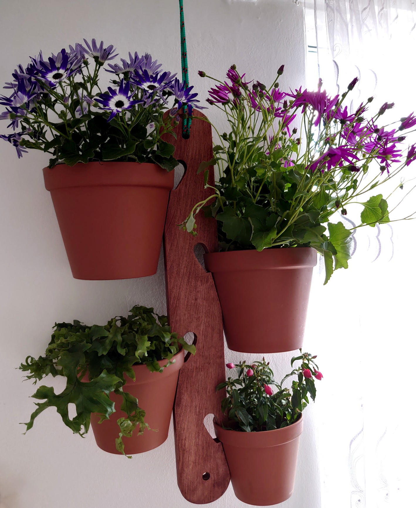 Wooden Flower Hanger + 4 TERRACOTTA POTS For x4 Flower