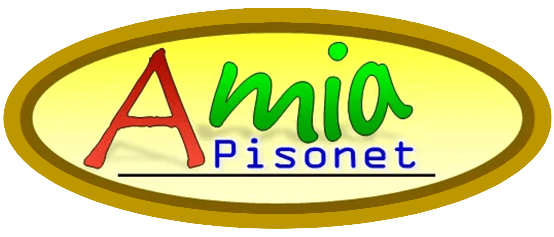 Home AMIA Your Provider