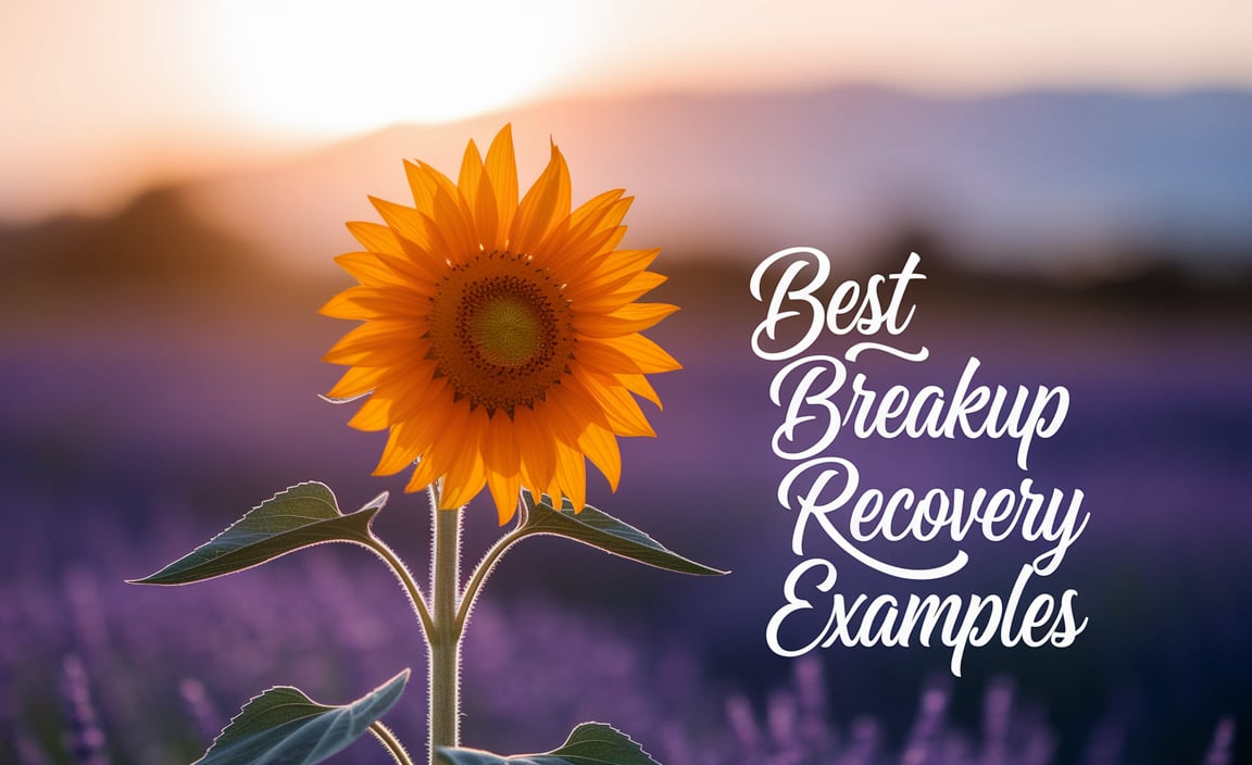 Best Breakup Recovery Examples