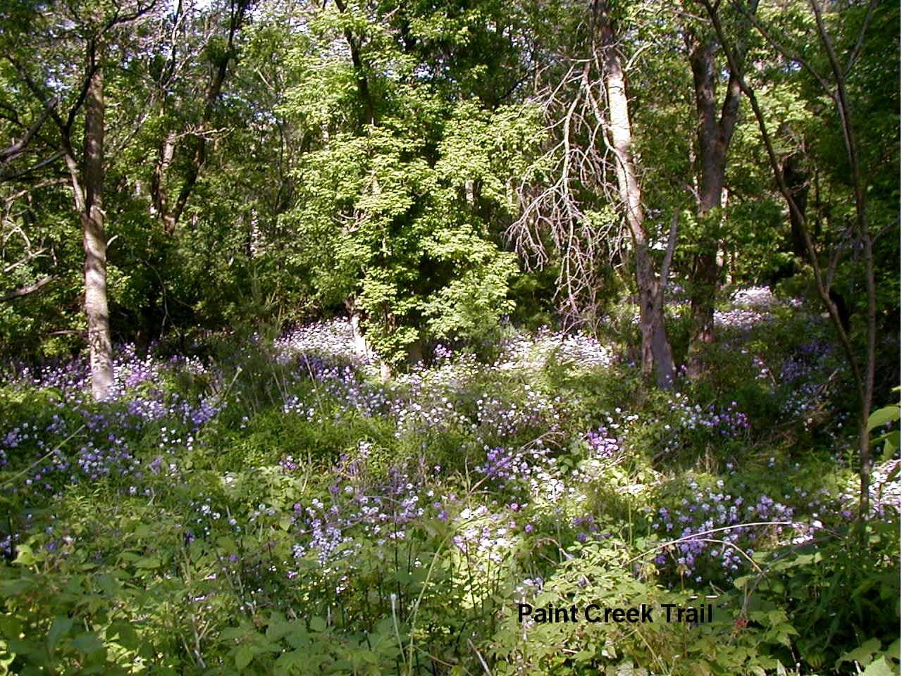 King’s Cove Association Management Inc