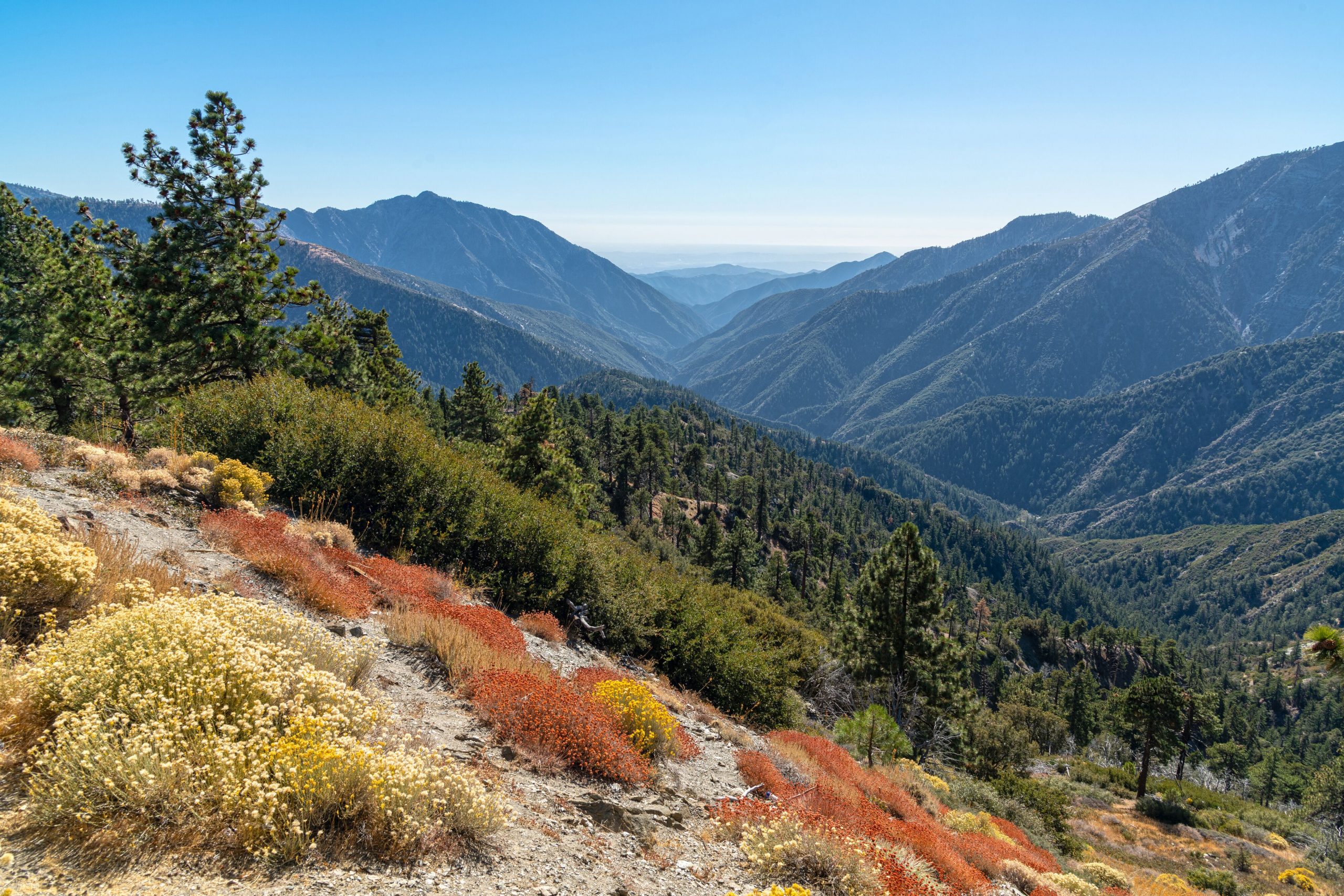 San Gabriel Mountains Forever Campaign Amigos de los Rios Emerald