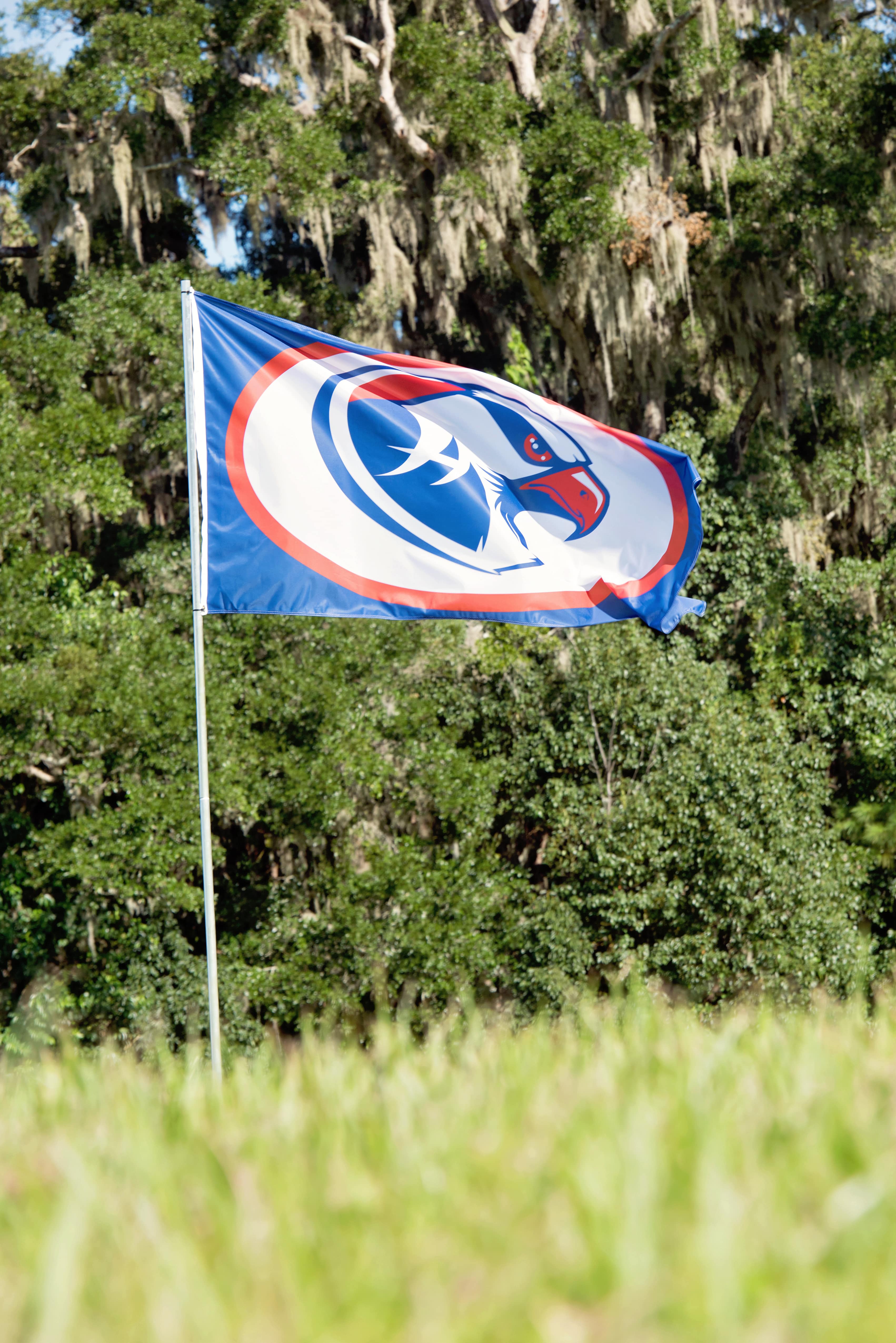 Promote School Spirit with Custom Flags AMI Graphics