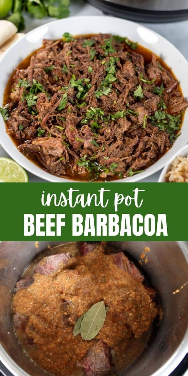 Instant Pot Barbacoa A Mind "Full" Mom