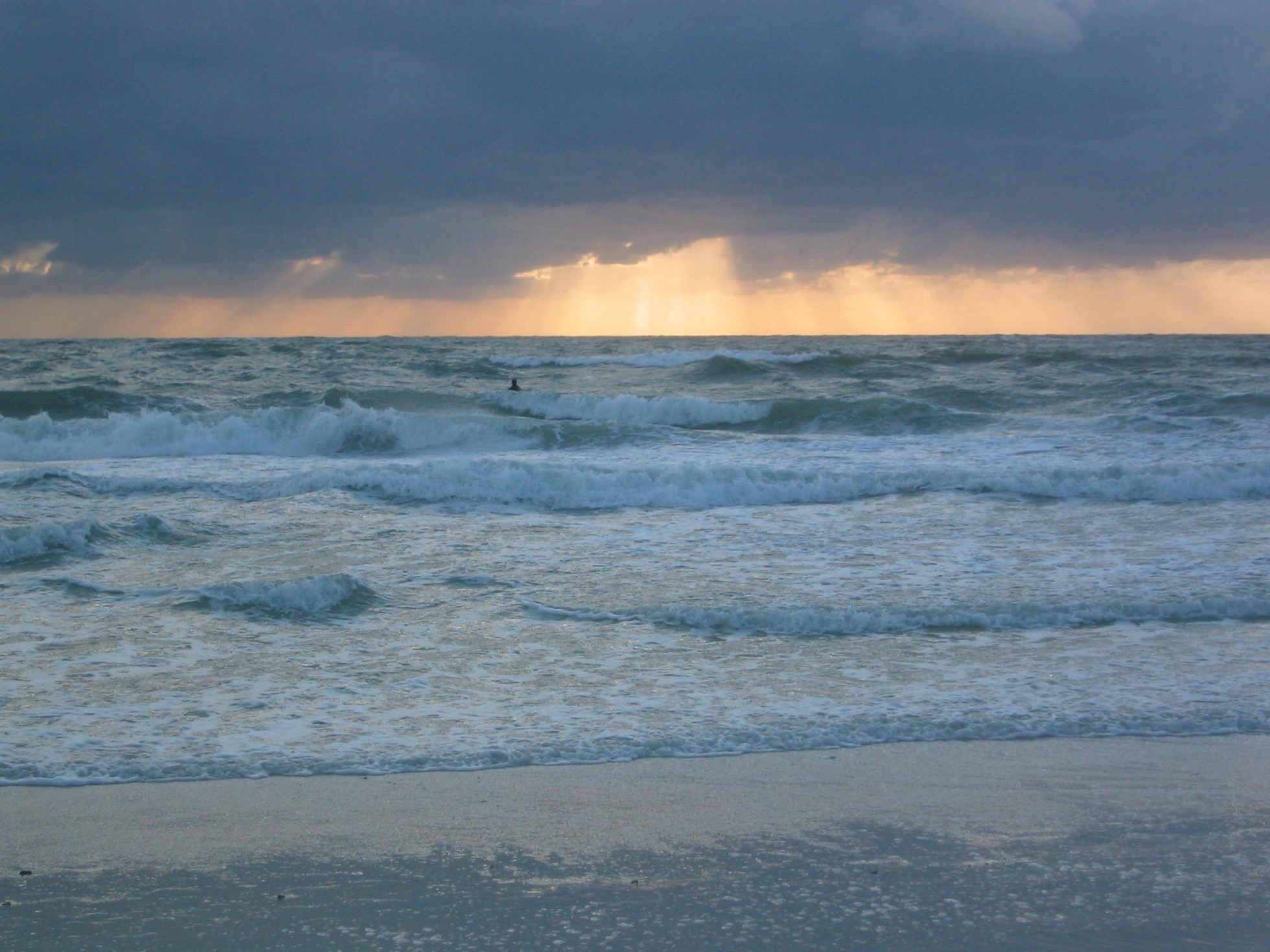 Surf Report from White Ave, Holmes Beach Anna Maria Island Living
