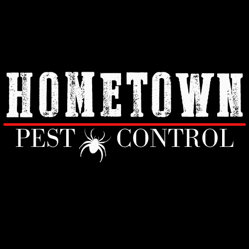 Donate Amira's House