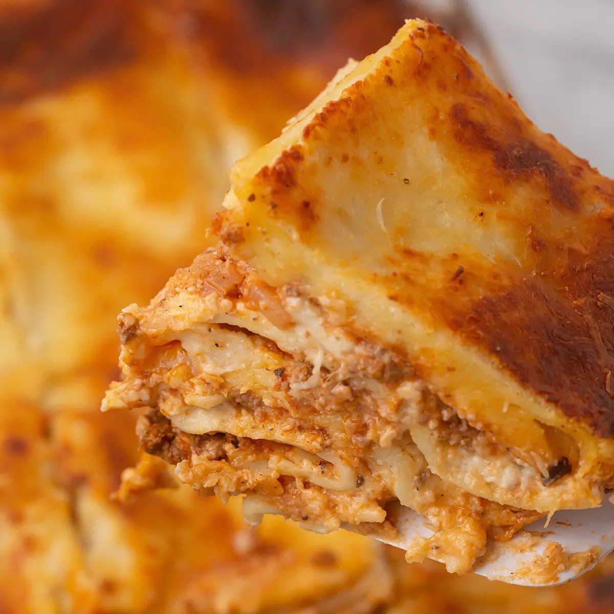 Lasagna Recipe Without Ricotta Cheese Amira's Pantry