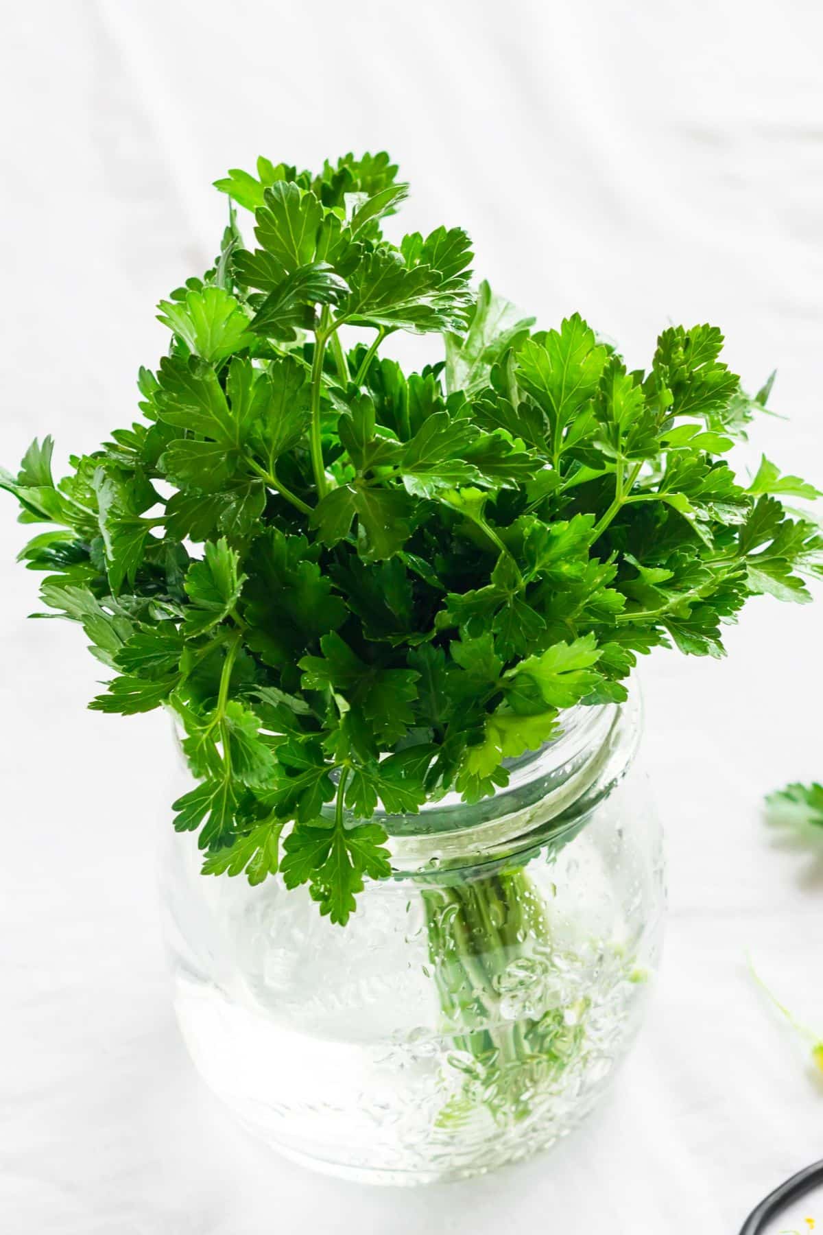How to Store Parsley Amira's Pantry