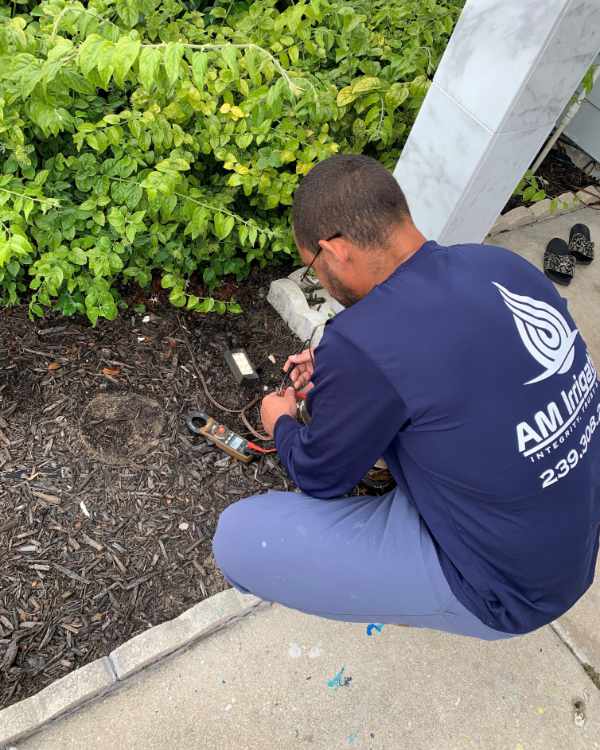 Landscape Lighting » AM Irrigation